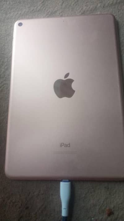 Ipad mini 5