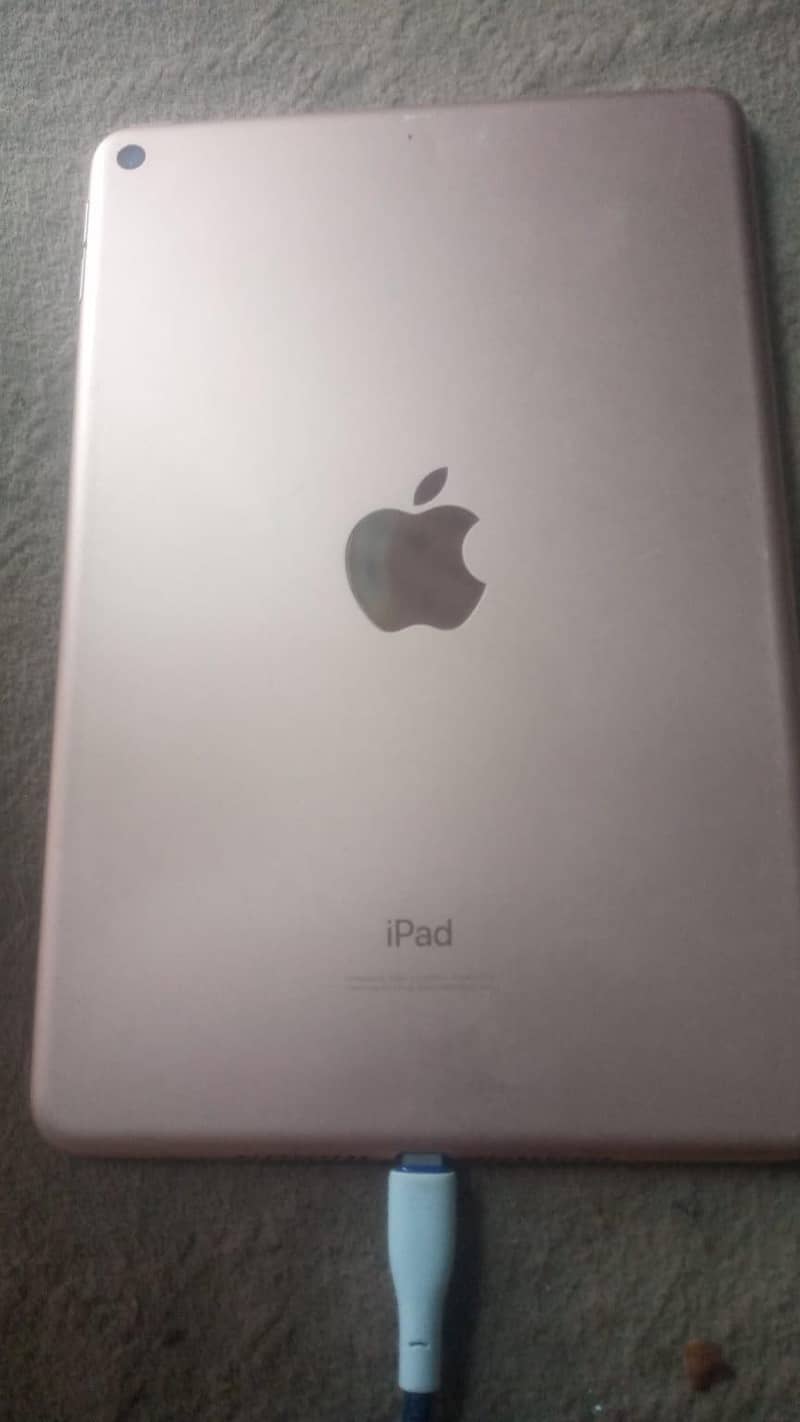 Ipad mini 5 0