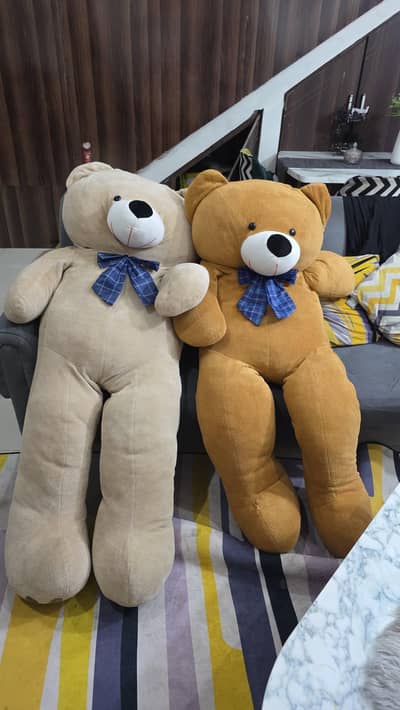 5.5 feet BIG size teddy bear