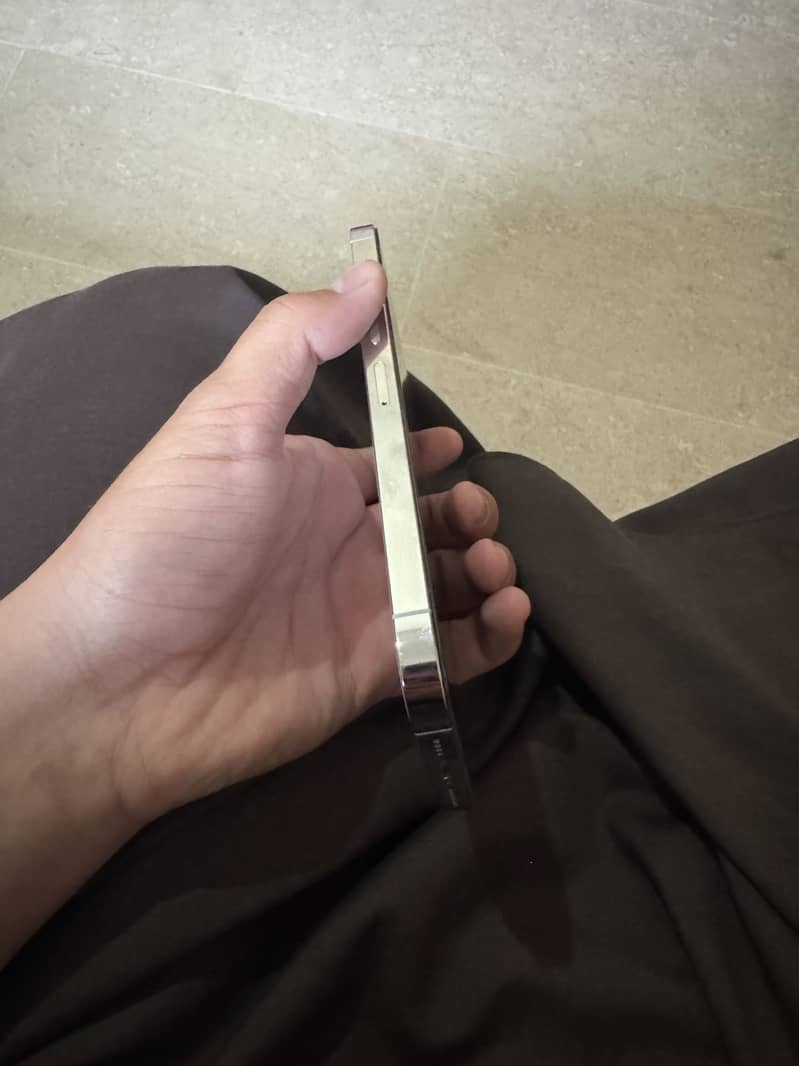 Apple iPhone 13 Pro Max 1