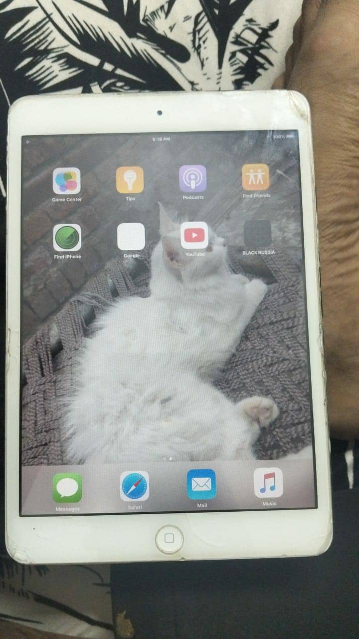 Ipad 1st 3
