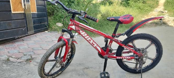 ROXY 20 NO BICYCLE