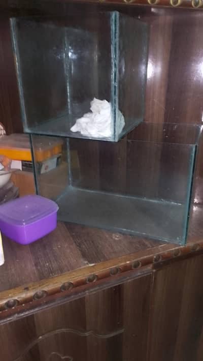 Beautiful Glass Aquarium Fish Tank – 21×11×13.1 Inches long