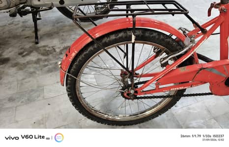 Mountain cycle