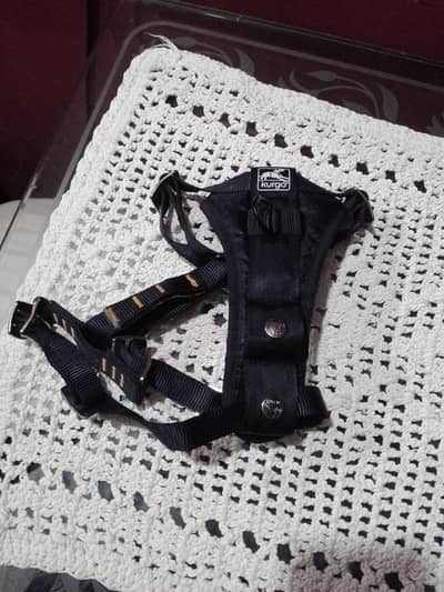 Kurgo try fit smart dog harness