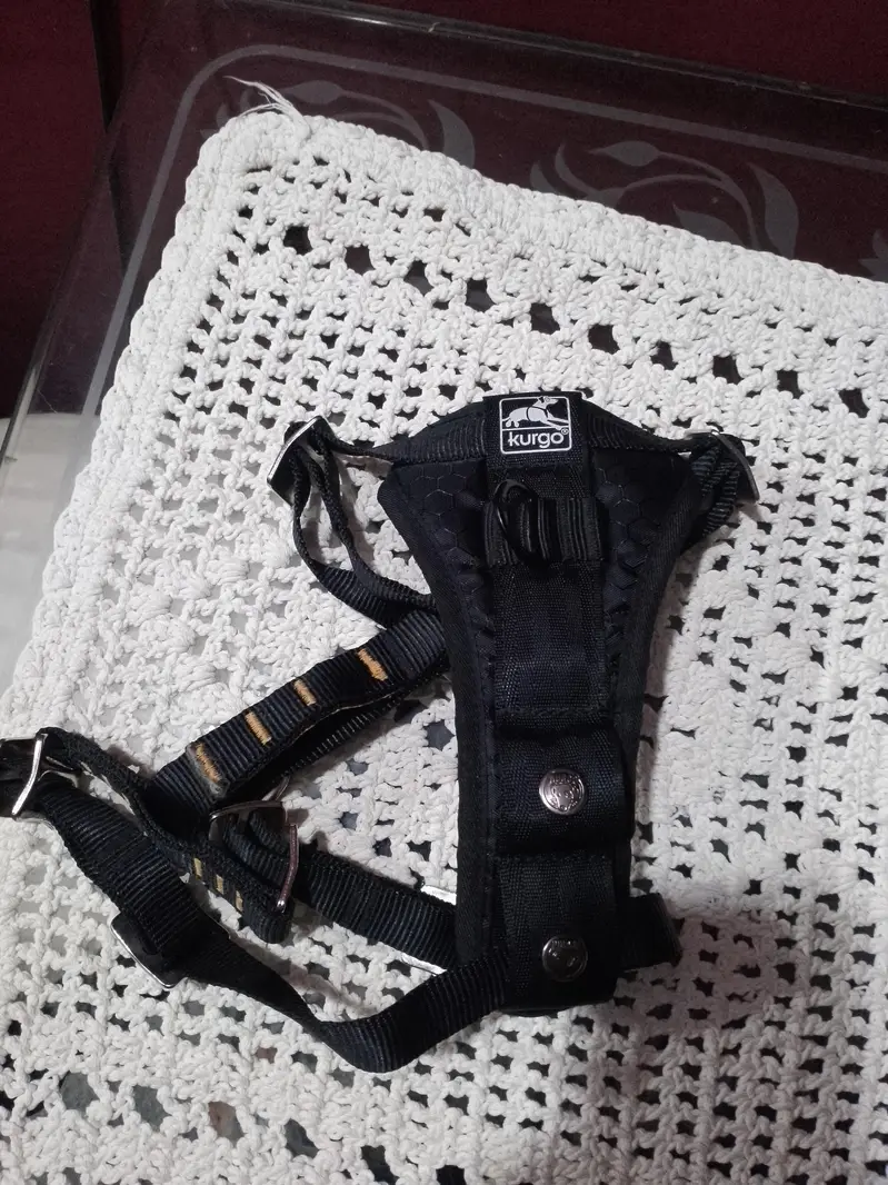 Kurgo try fit smart dog harness — photo 2