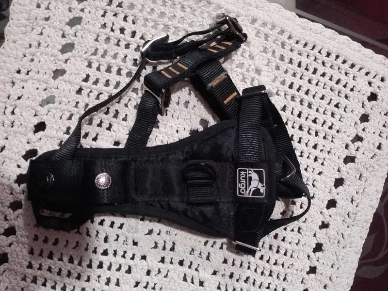 Kurgo try fit smart dog harness — photo 3
