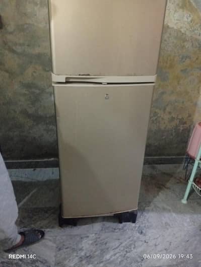 medium size freezer