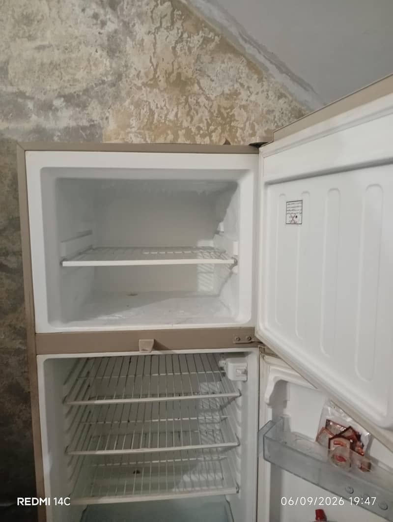 medium size freezer 1
