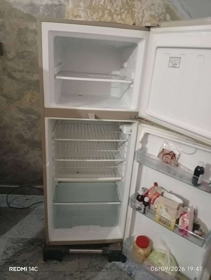 medium size freezer 3