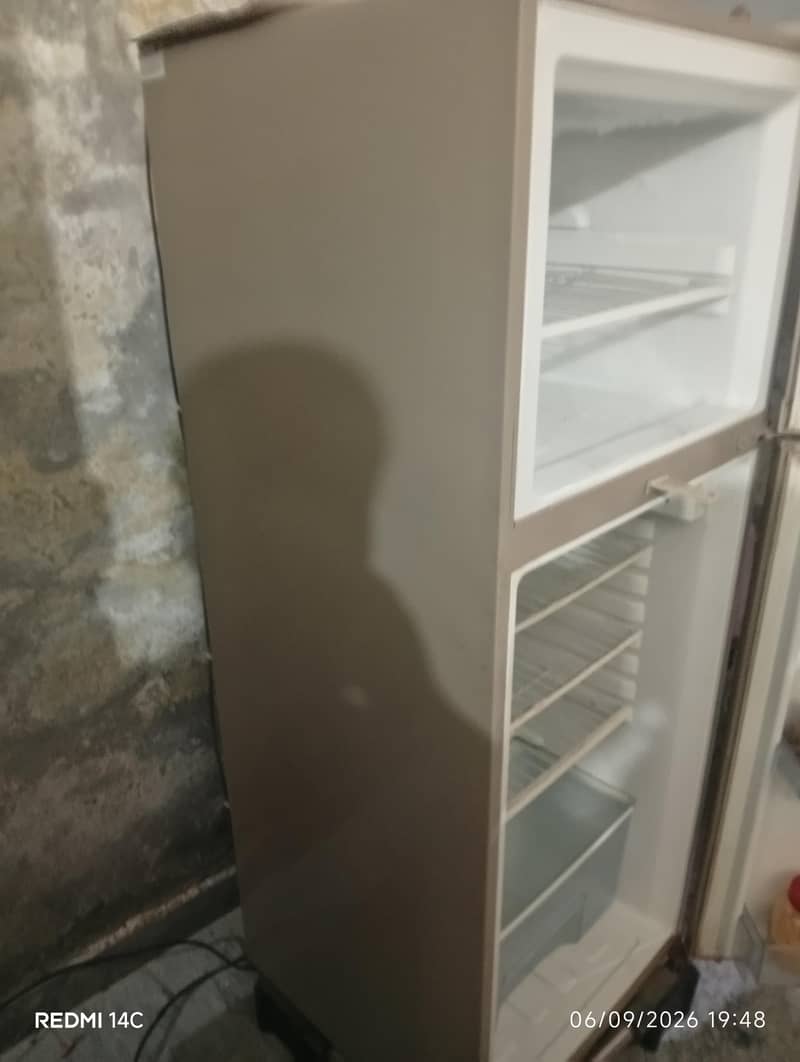 medium size freezer 4