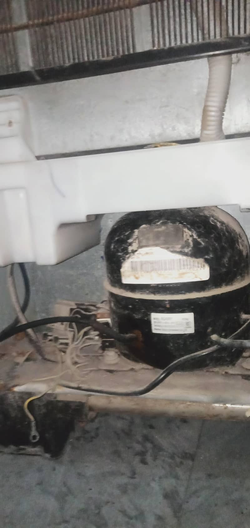 medium size freezer 6