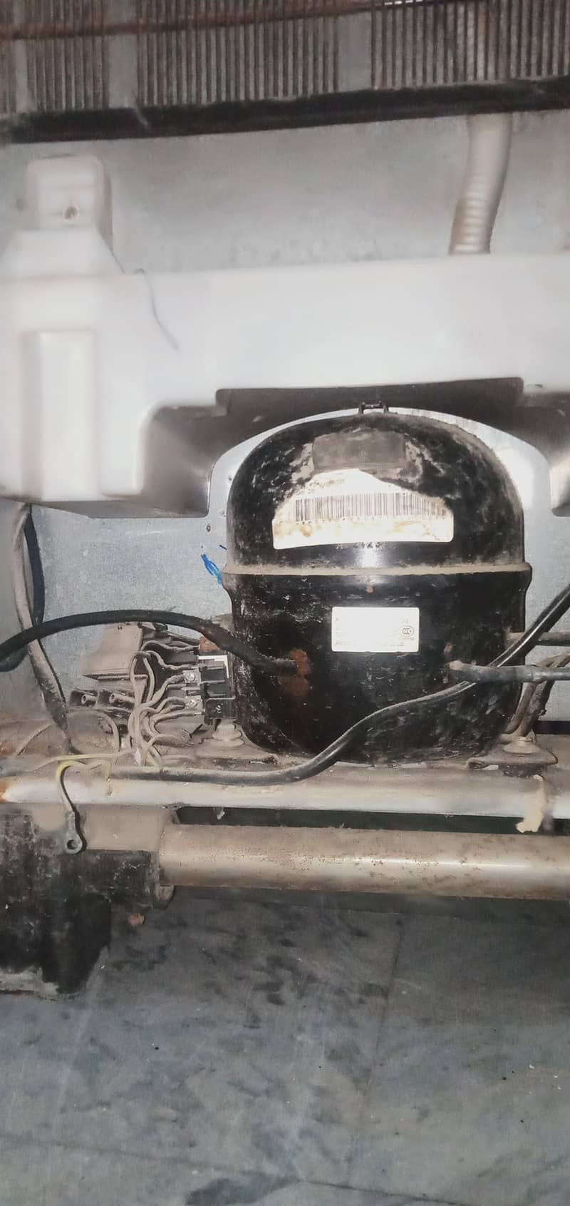 medium size freezer 7