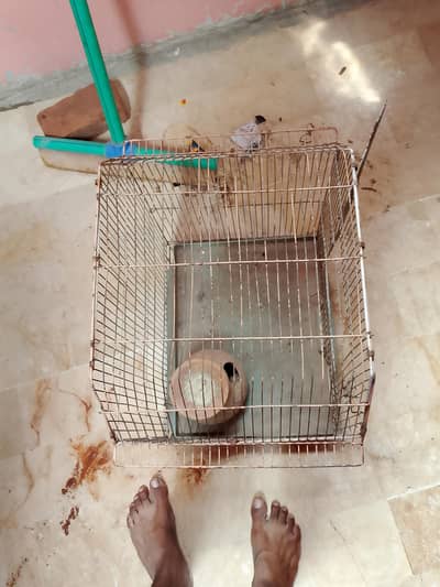peroot cage