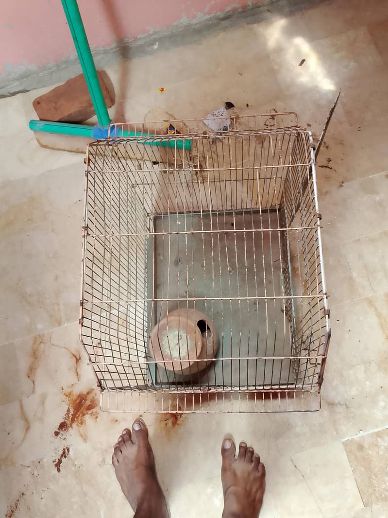peroot cage 0
