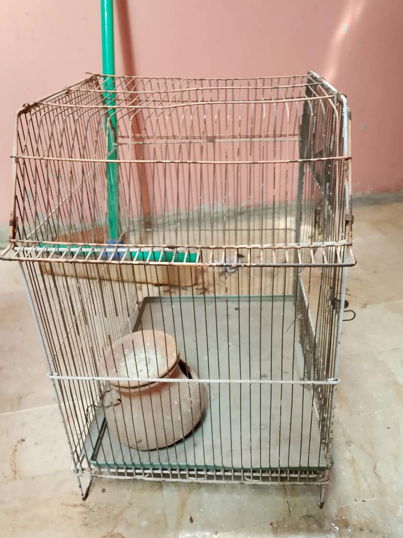 peroot cage 1