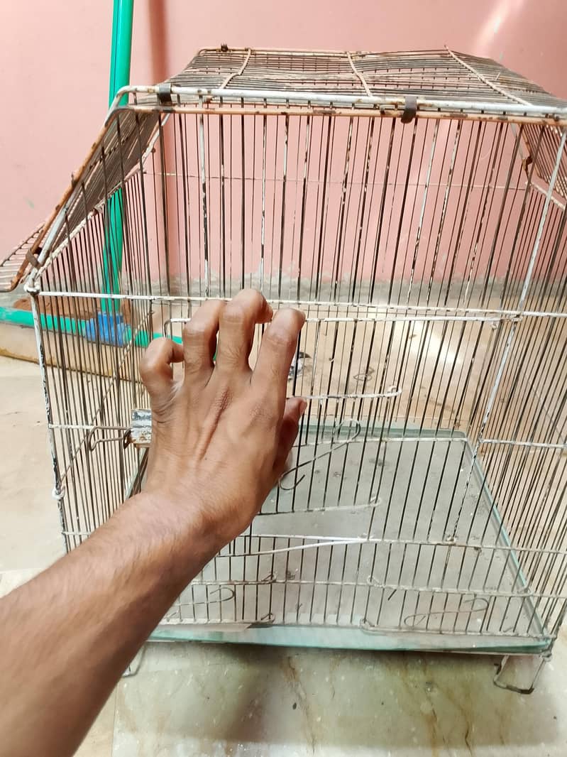 peroot cage 2