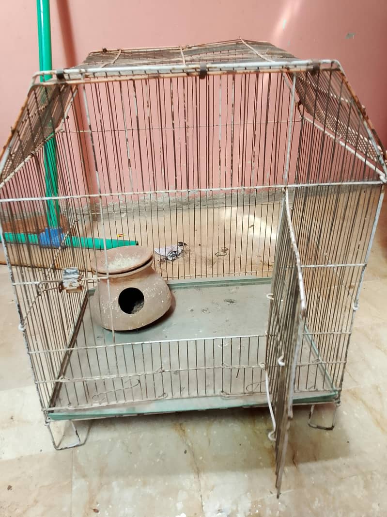 peroot cage 3