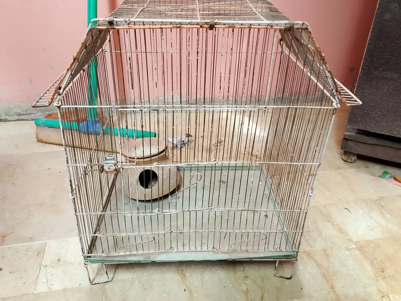 peroot cage 4