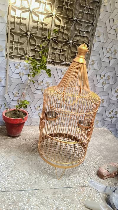Cages for parrots