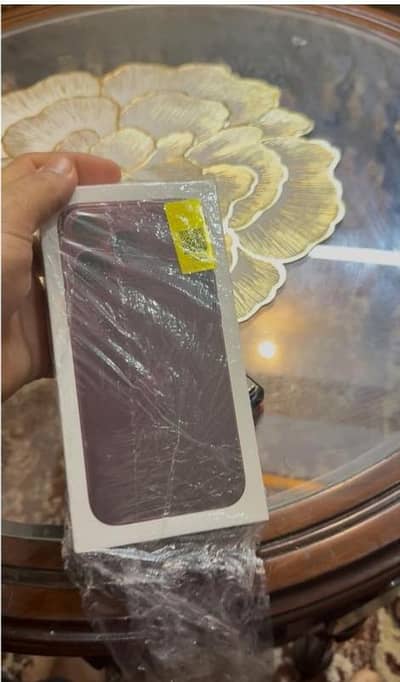 Apple iPhone 18 Pro Max512 gd