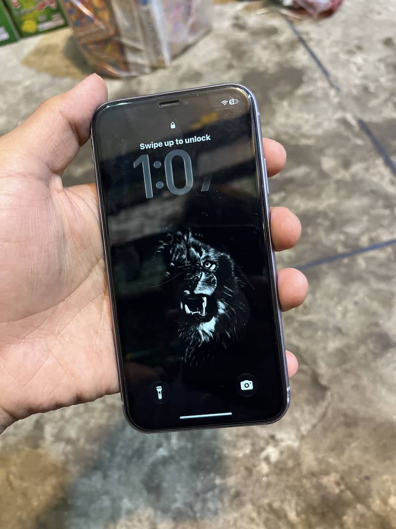 Apple iPhone 11 2