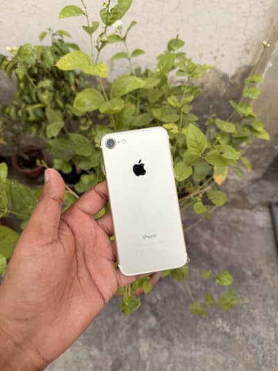 Apple iPhone 7 official PTA