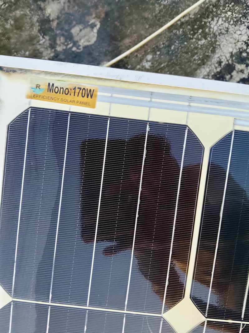 Solar panel 1