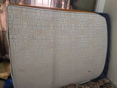 ortho medicated molty mattress