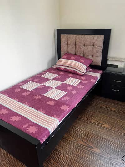 single beds with cushion back - home