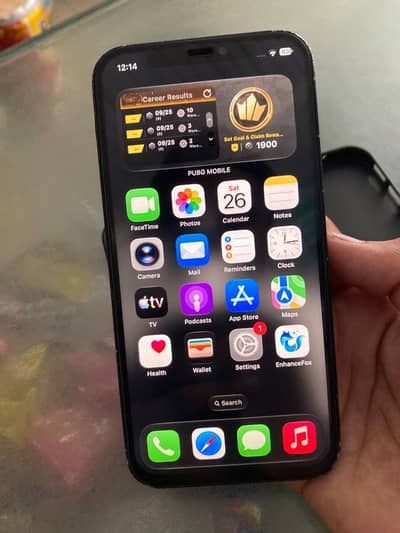 Apple iPhone 12