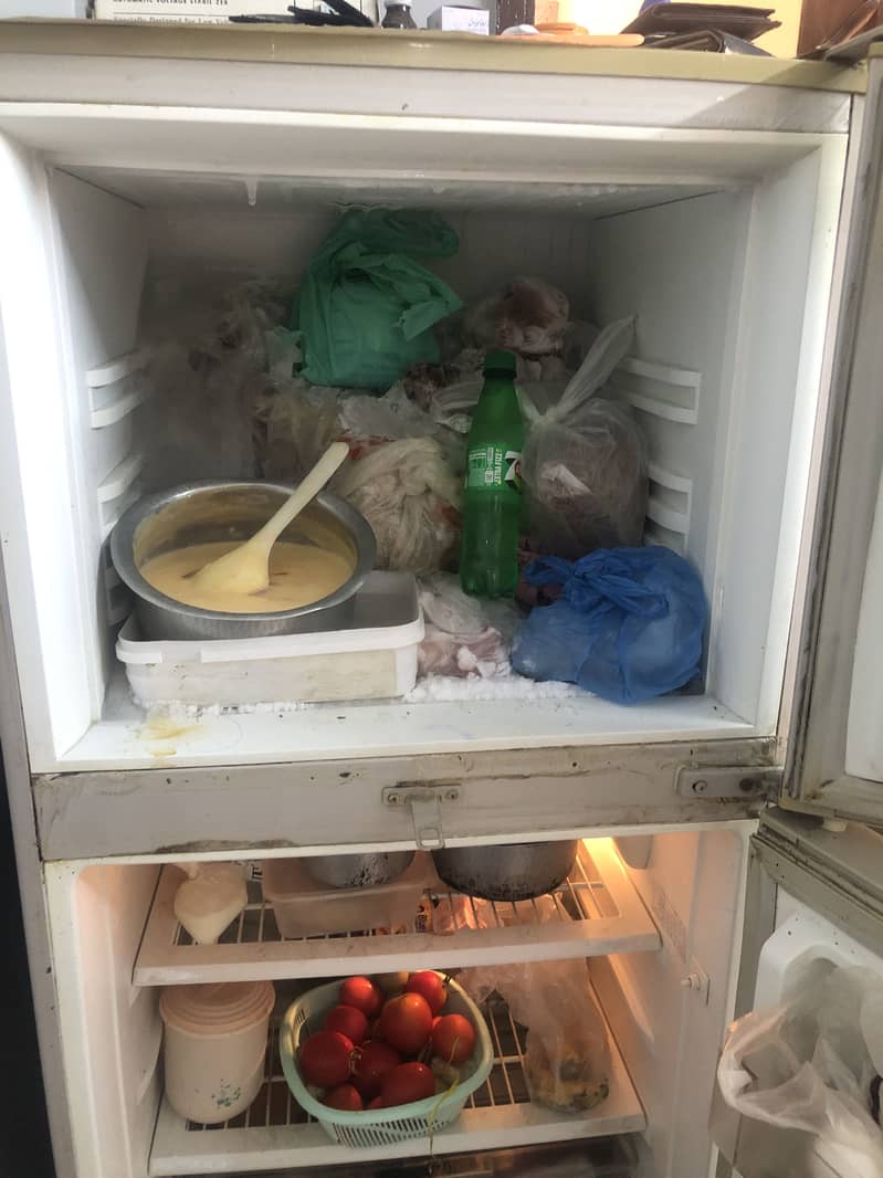 Pel freezer 1