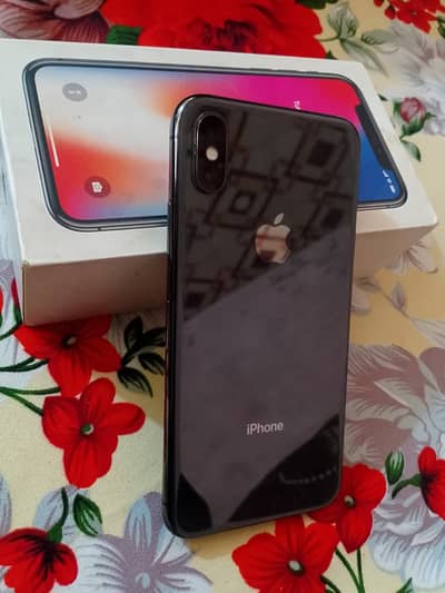 Apple iPhone X