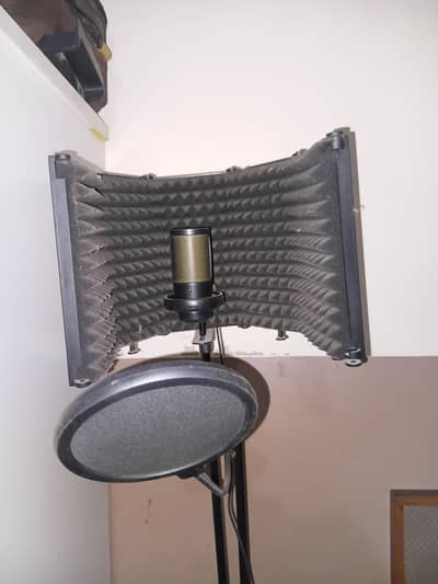 mic,mic stand & portable vocal both