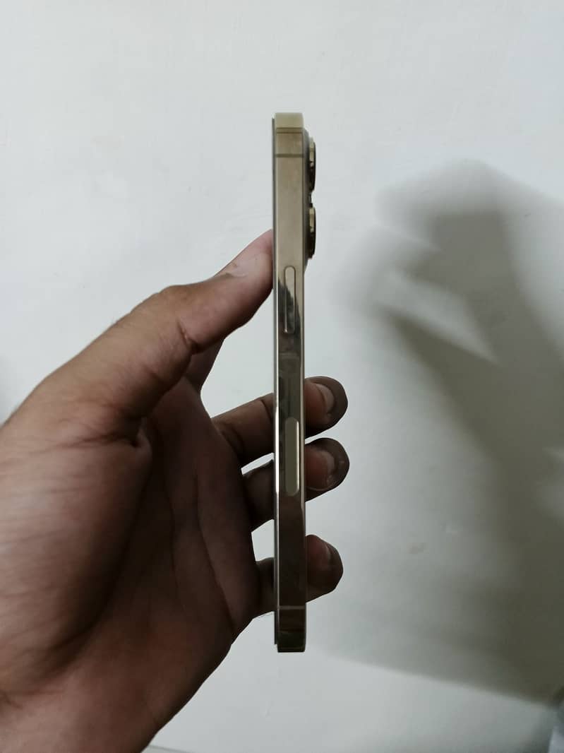 Apple iPhone 13 Pro 1