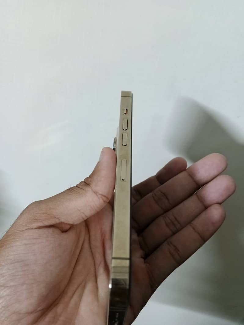 Apple iPhone 13 Pro 4