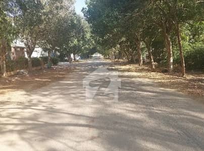 PRIME LOCATION 240 SQUARE YARD PLOT FOR SELL SECTOR T
