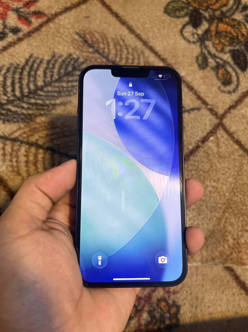 Apple iPhone 13 0