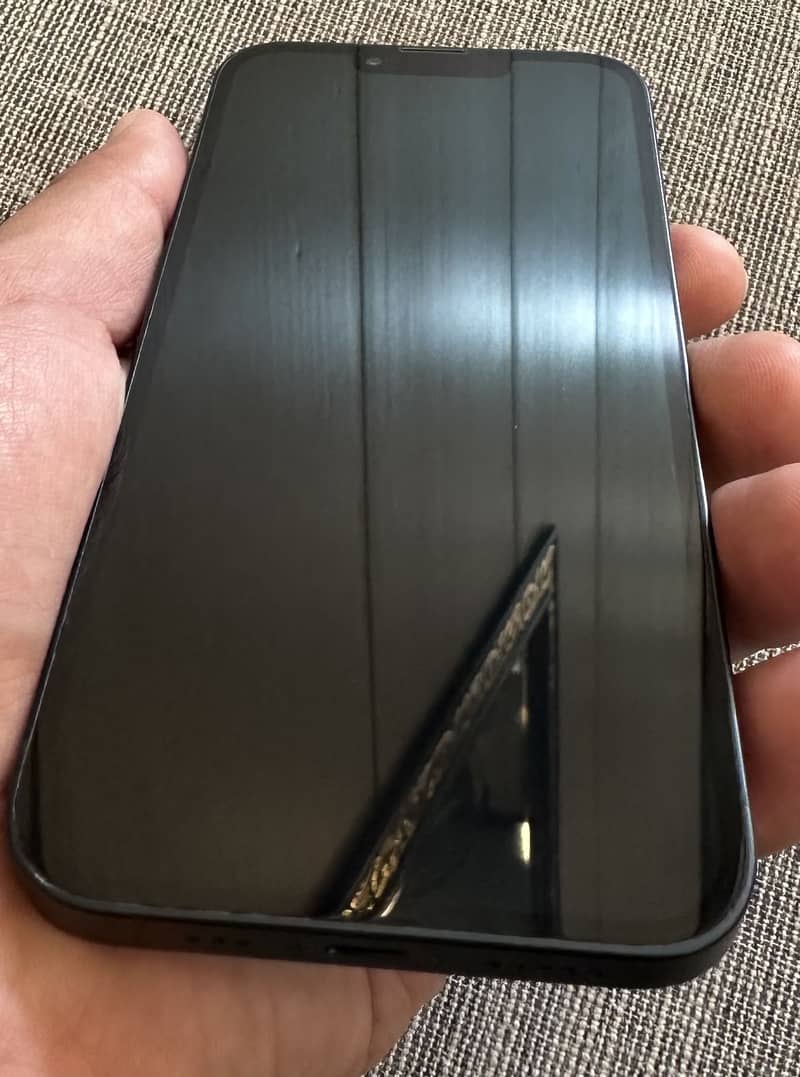 Apple iPhone 13 0