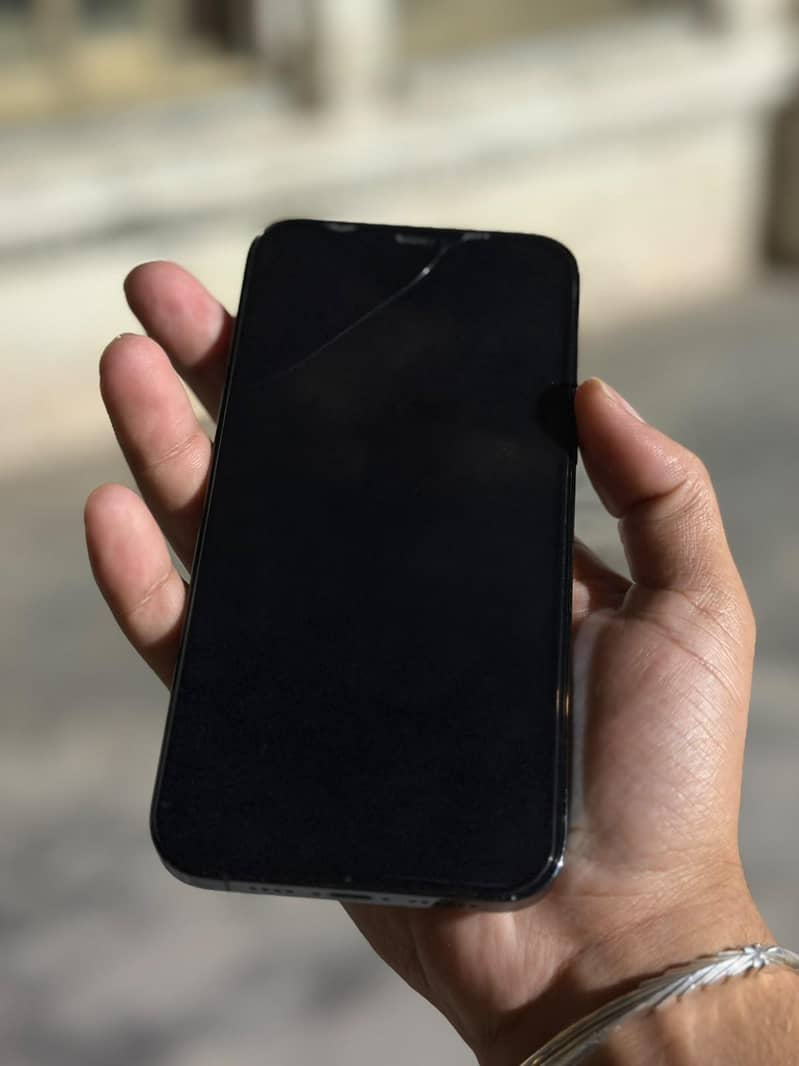 Apple iPhone 12 Pro Max 2