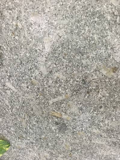 Granite stone for sale