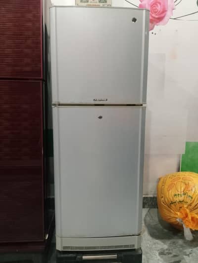 PEL Refrigerator – Excellent Condition 10/10