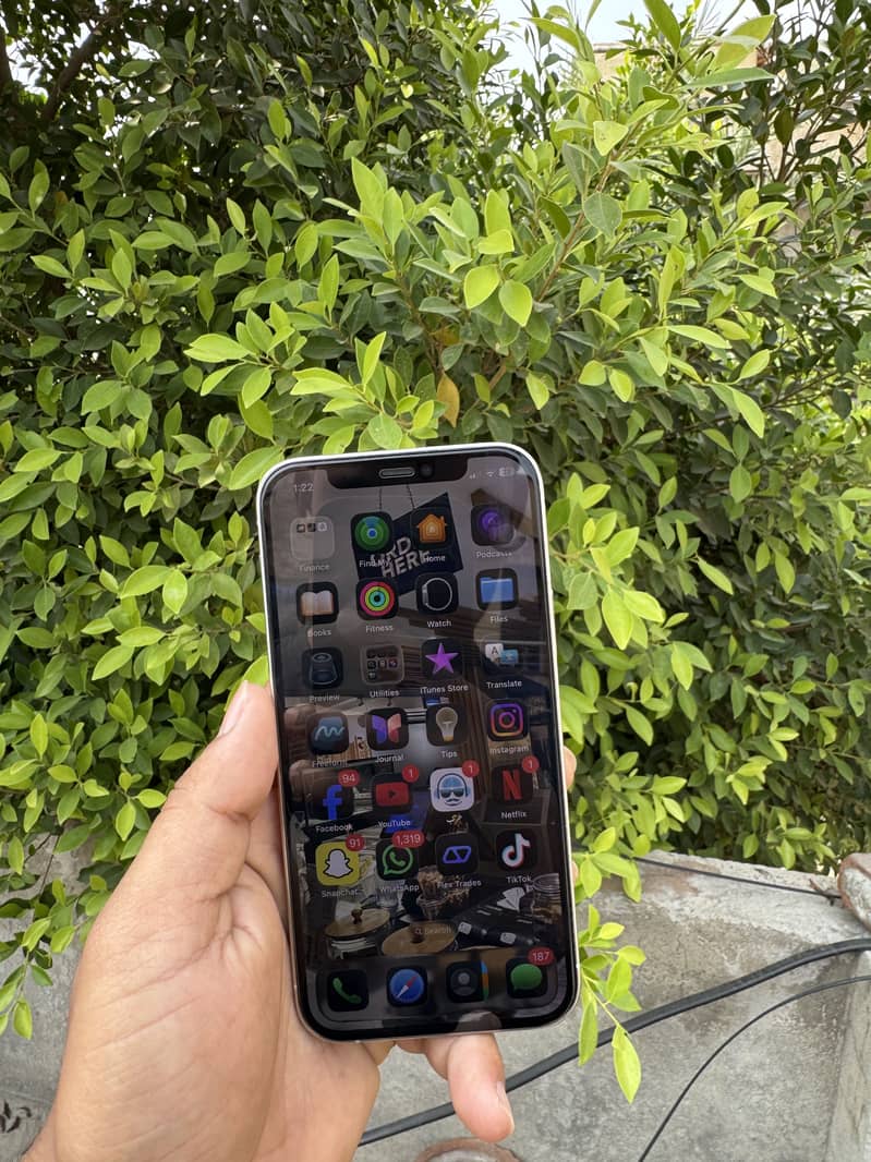 Apple iPhone 12 1