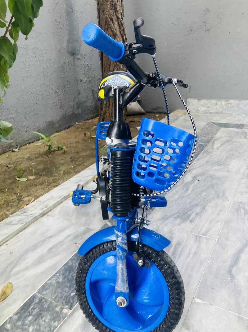 Cycle 0