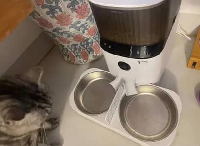 Pet Feeder/Pet Water Fountain Cat/Pet Dryer/Pet Heating Cooling Mat