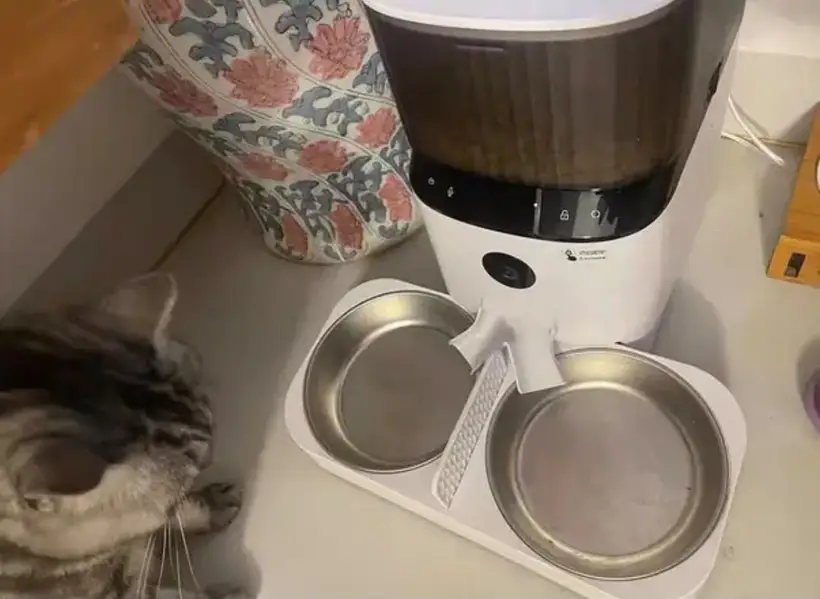 Pet Feeder/Pet Water Fountain Cat/Pet Dryer/Pet Heating Cooling Mat