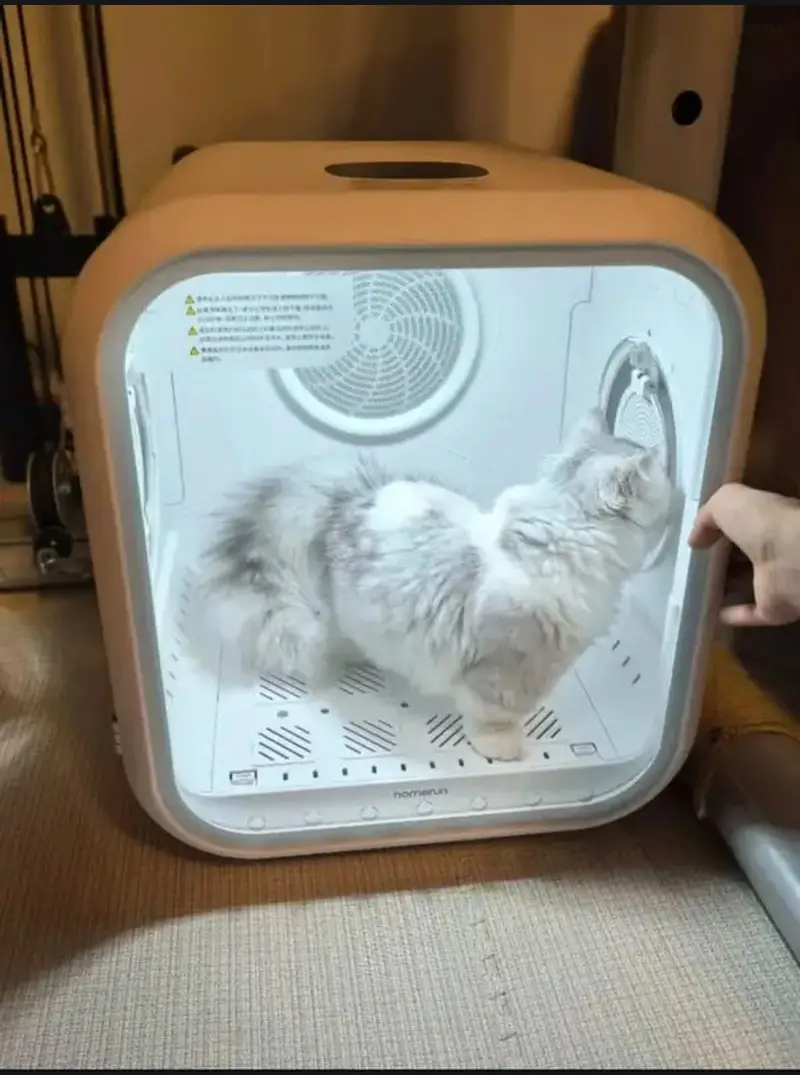Pet Feeder/Pet Water Fountain Cat/Pet Dryer/Pet Heating Cooling Mat — photo 3