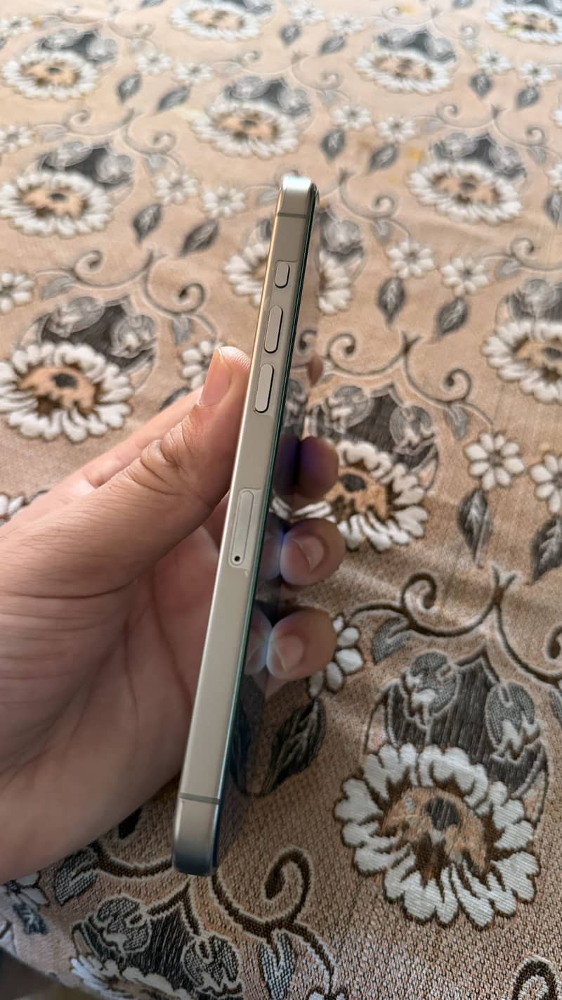 Apple iPhone 15 Pro Max 1