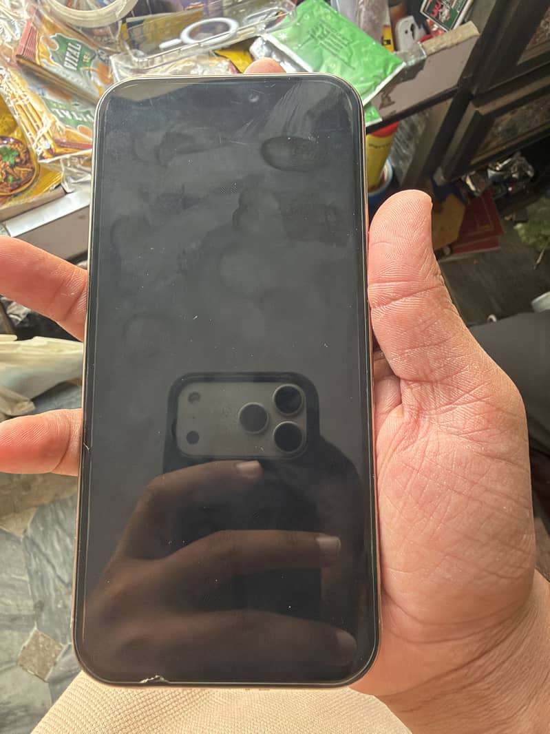 Apple iPhone 16 Pro Max 1