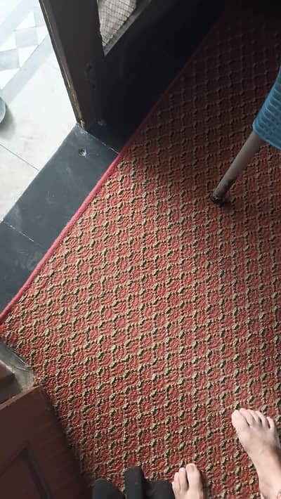 carpet for sale condition like 10/10 only few months use